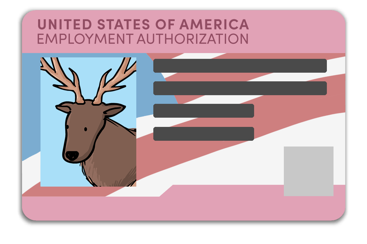 U.S. Citizenship and Immigration Services Employment Authorization Card (I-766)