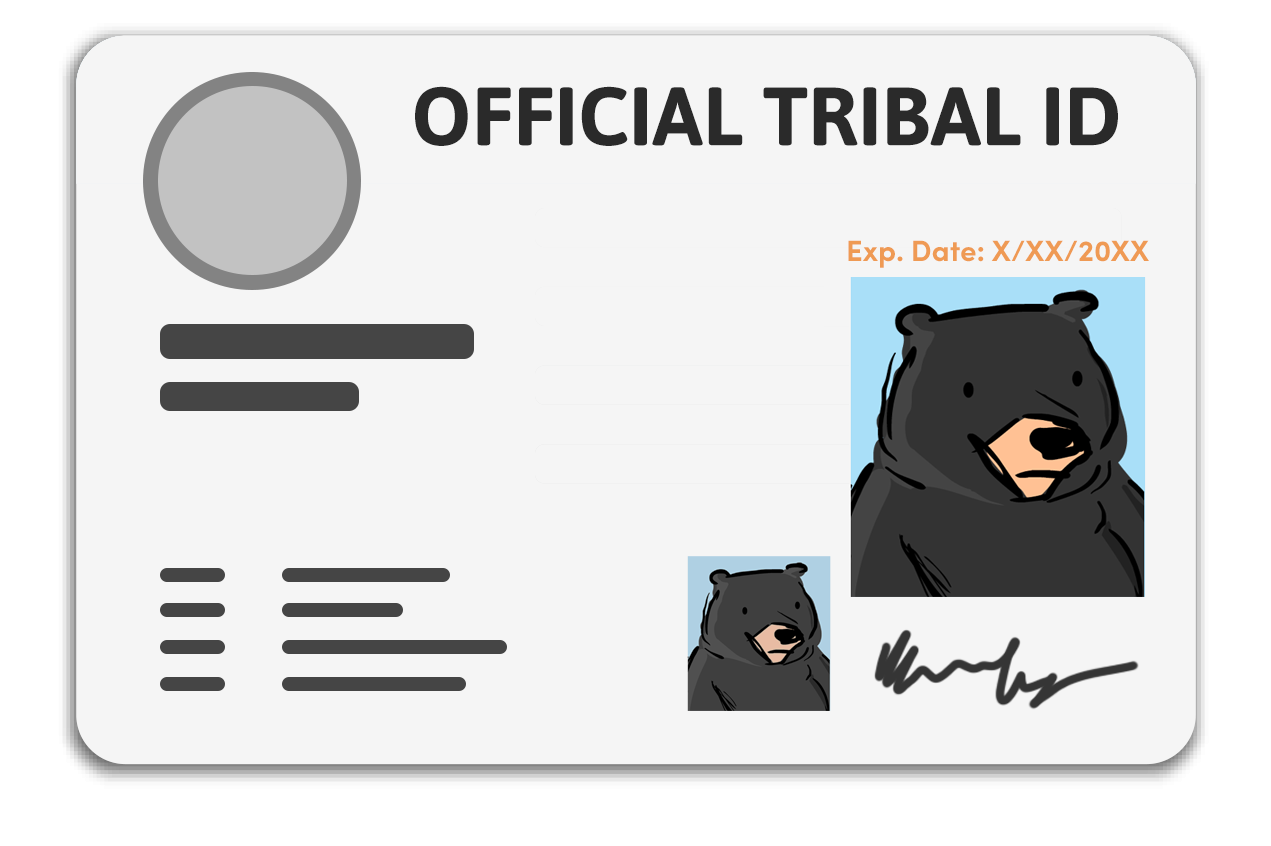 Identificación con foto emitida por tribus y reconocida federalmente