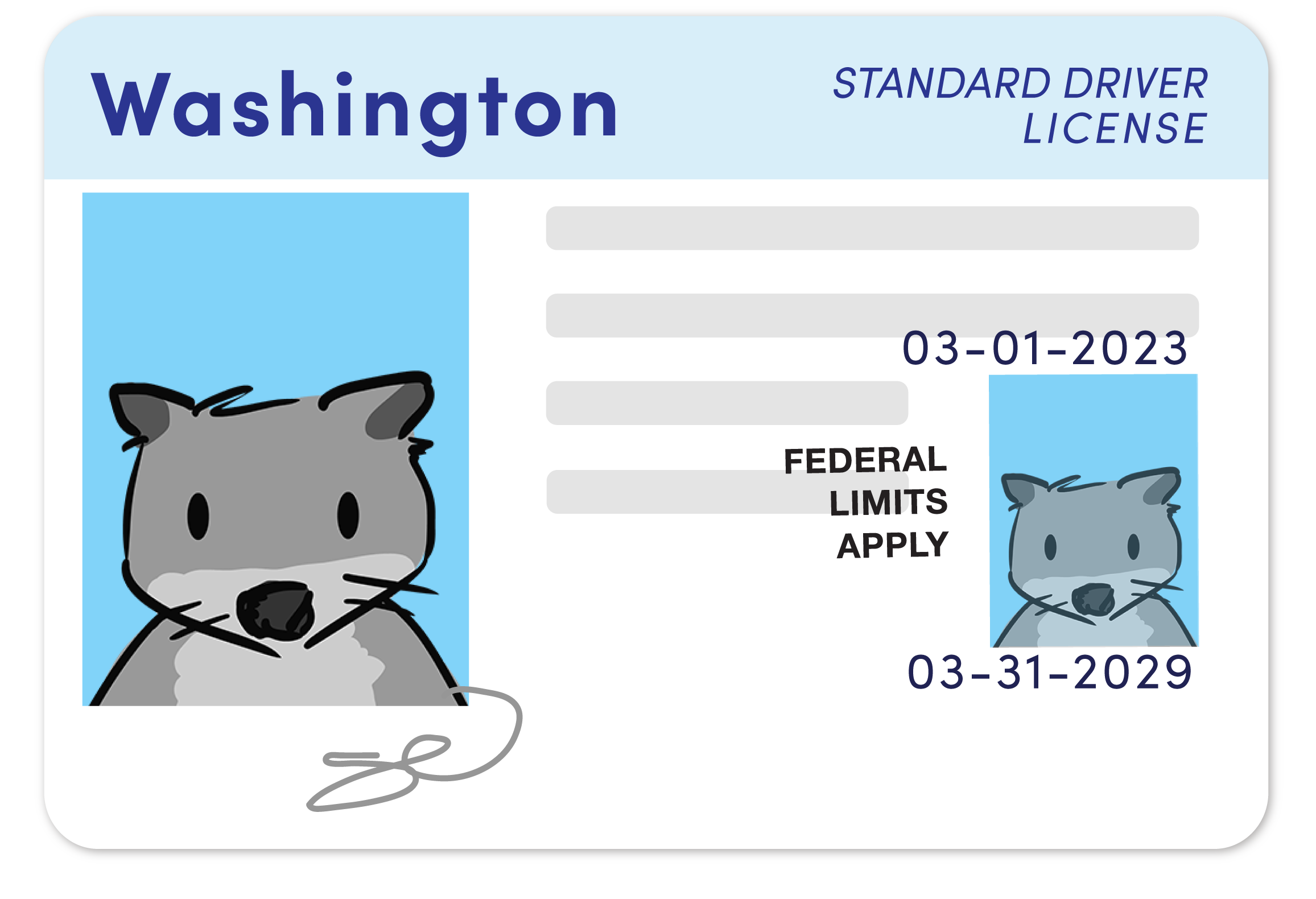 Real ID Washington ID Options for Washingtonians