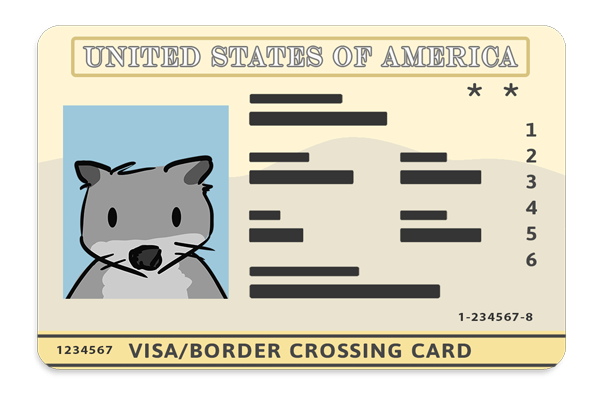국경 통행 카드
