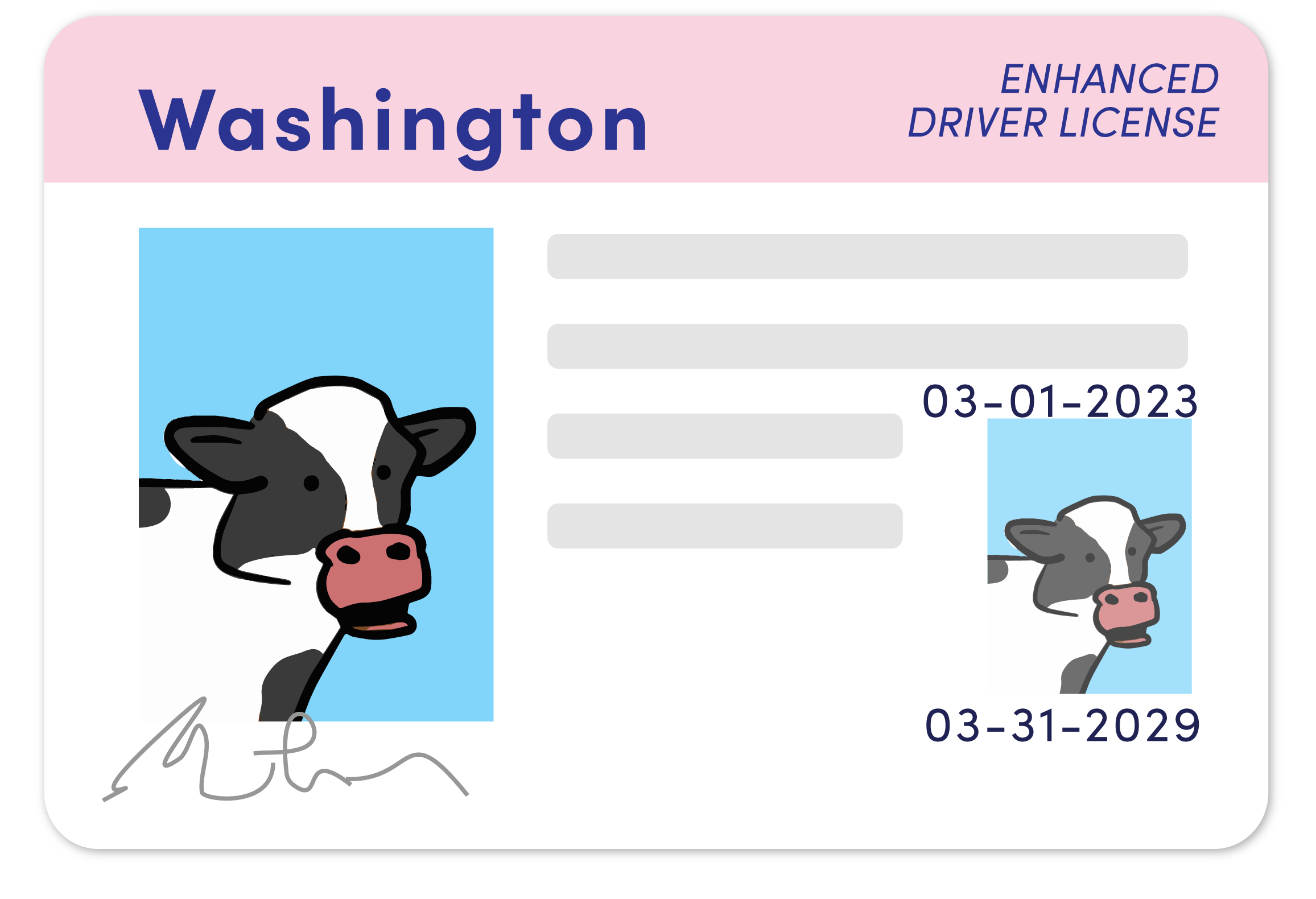Real ID Washington ID Options For Washingtonians