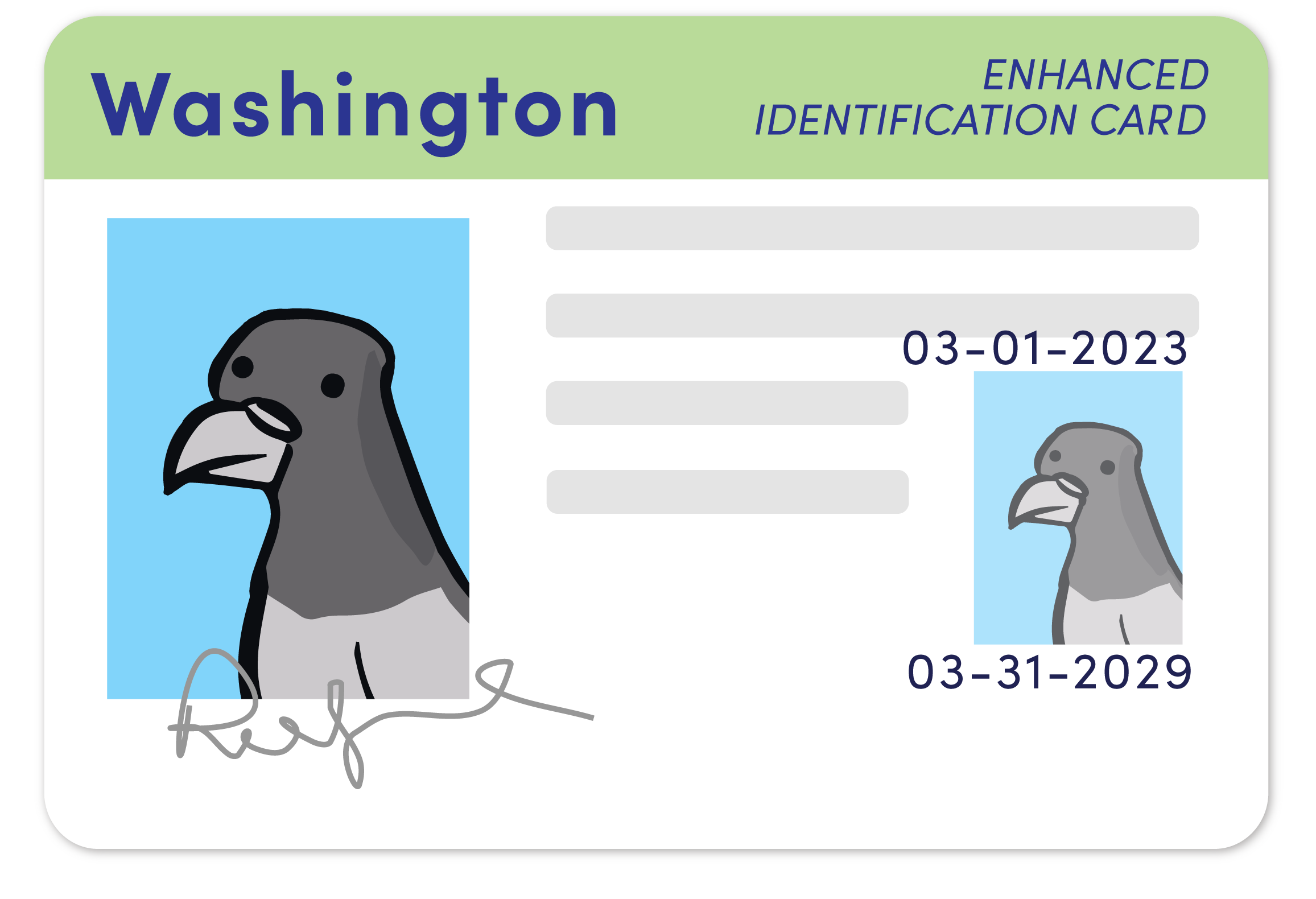Real ID Washington ID Options For Washingtonians